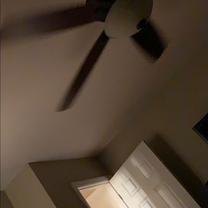 Meet your Posher, Toni